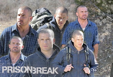 Seriale  - foto povečava