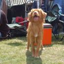 A Big Boy (Iggy)