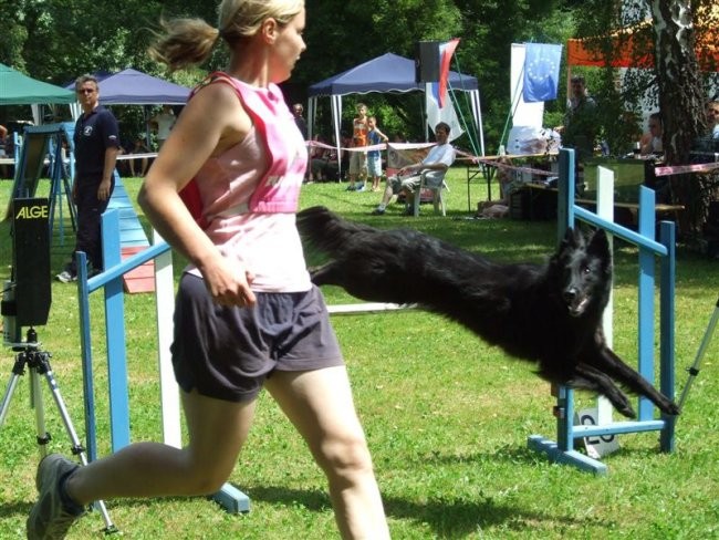 Agility tekma v MS - 25.6.2008 - foto povečava