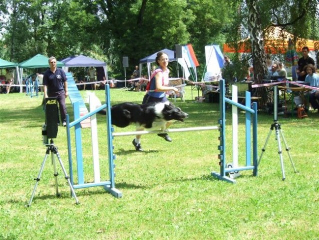 Agility tekma v MS - 25.6.2008 - foto