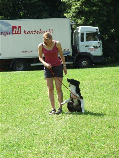 Agility tekma v MS - 25.6.2008 - foto povečava