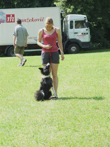 Agility tekma v MS - 25.6.2008 - foto povečava