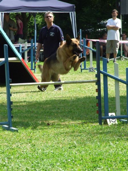 Agility tekma v MS - 25.6.2008 - foto