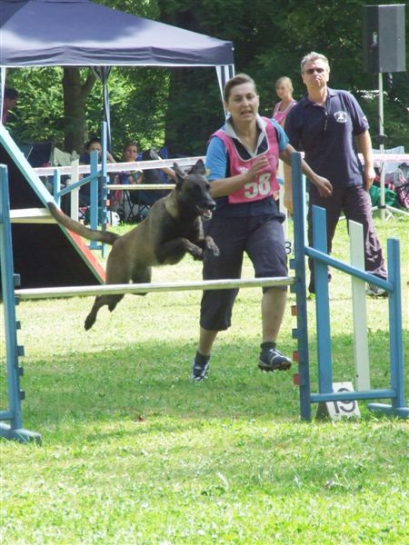 Agility tekma v MS - 25.6.2008 - foto
