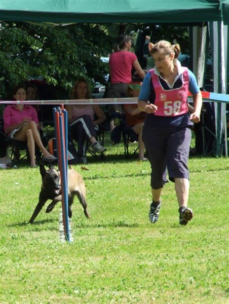 Agility tekma v MS - 25.6.2008 - foto