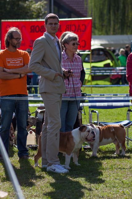 CACIB Maribor, 22. 9. 2012 - foto