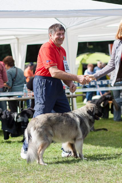 CACIB Maribor, 22. 9. 2012 - foto