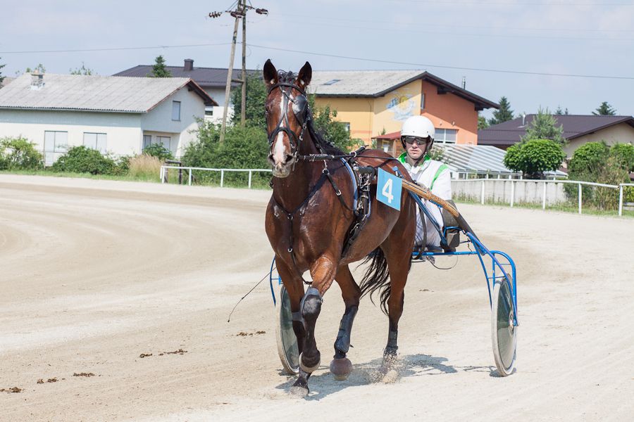 Lojz - foto povečava