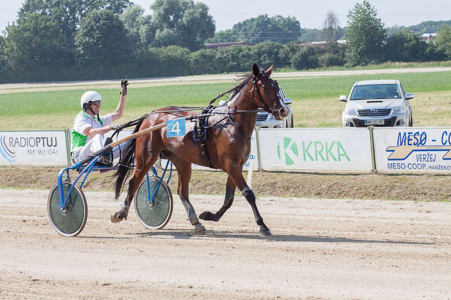 Lojz - foto povečava