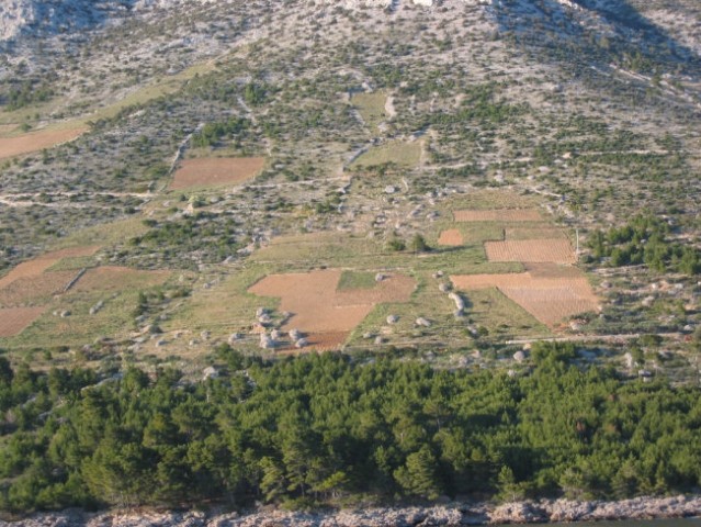 Jadranje Marina-Povlja 2005 - foto