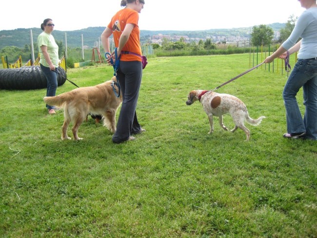 Piknik - foto povečava