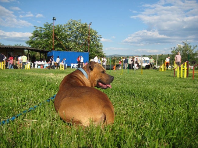 Piknik - foto povečava