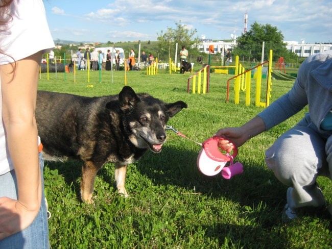 Piknik - foto povečava