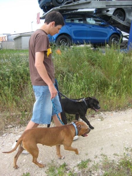 Piknik- Das in Saška - foto povečava