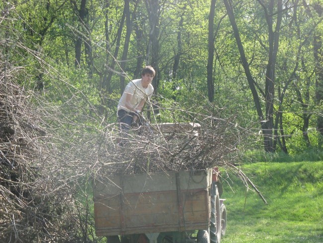 Regruti 90 ¤2008¤ - foto povečava