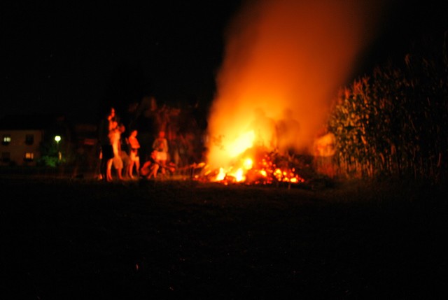 Barjanski piknik - foto