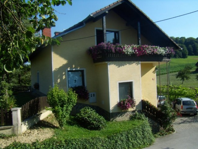 Rože - foto