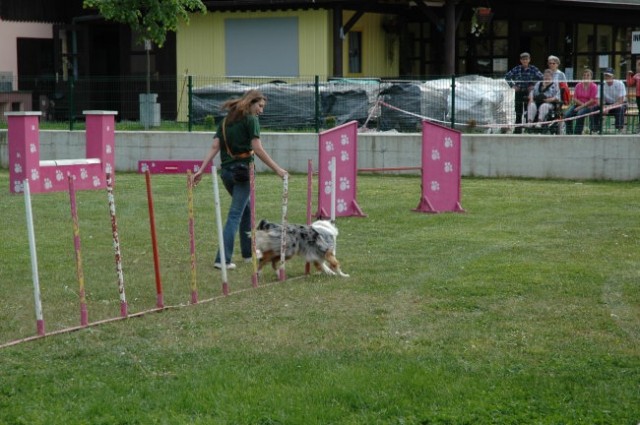 KD Zagorje - družinski piknik 16.5.2008  - foto