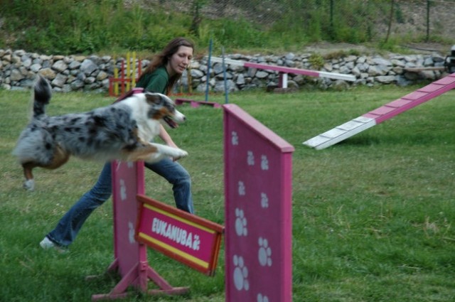 KD Zagorje - družinski piknik 16.5.2008  - foto