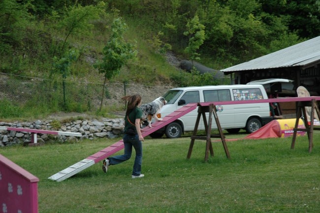 KD Zagorje - družinski piknik 16.5.2008  - foto povečava