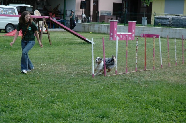 KD Zagorje - družinski piknik 16.5.2008  - foto povečava