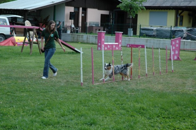 KD Zagorje - družinski piknik 16.5.2008  - foto