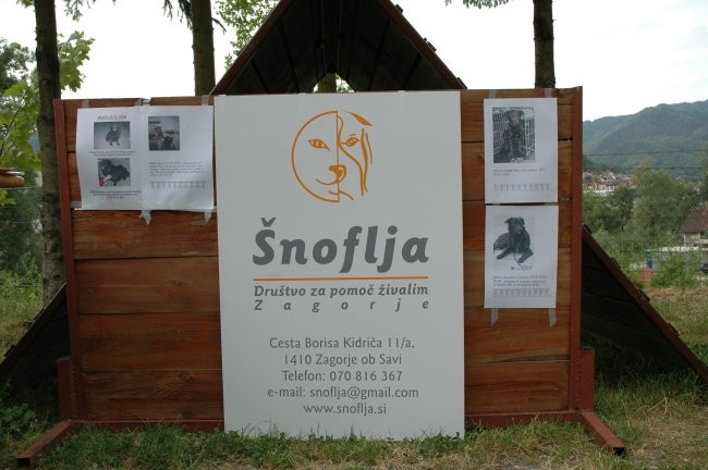 KD Zagorje - družinski piknik 16.5.2008  - foto povečava