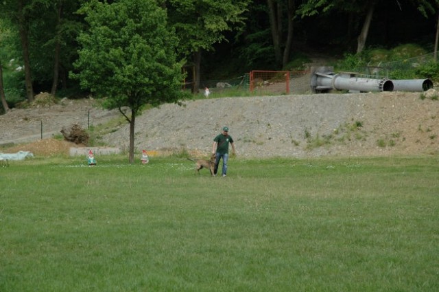 KD Zagorje - družinski piknik 16.5.2008  - foto