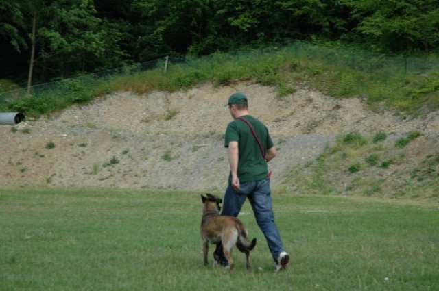 KD Zagorje - družinski piknik 16.5.2008  - foto