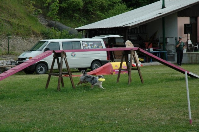 KD Zagorje - družinski piknik 16.5.2008  - foto