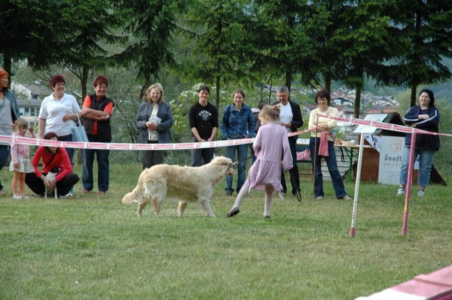 KD Zagorje - družinski piknik 16.5.2008  - foto povečava