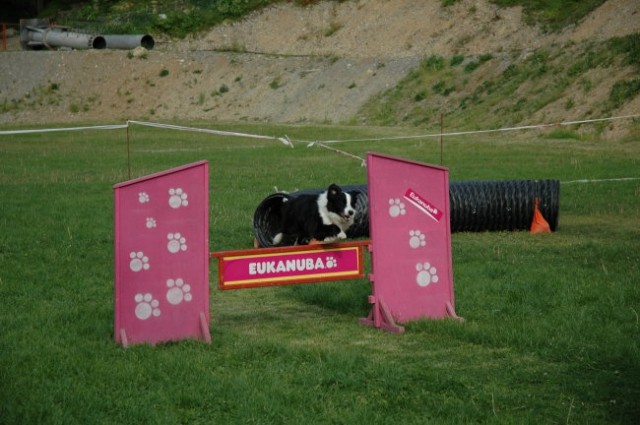 KD Zagorje - družinski piknik 16.5.2008  - foto