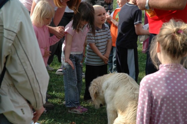 KD Zagorje - družinski piknik 16.5.2008  - foto