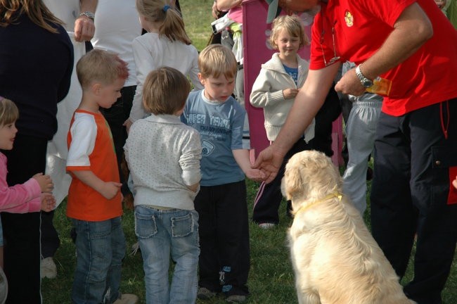 KD Zagorje - družinski piknik 16.5.2008  - foto povečava