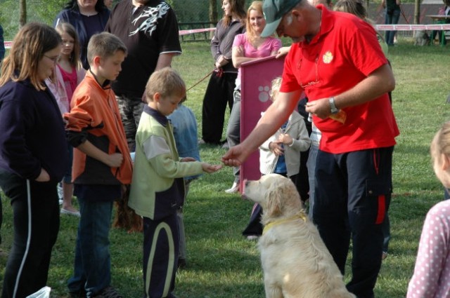 KD Zagorje - družinski piknik 16.5.2008  - foto