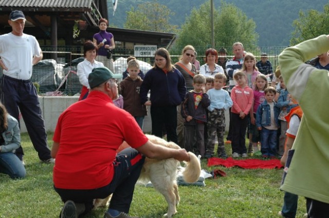 KD Zagorje - družinski piknik 16.5.2008  - foto