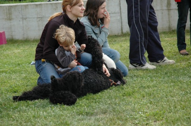 KD Zagorje - družinski piknik 16.5.2008  - foto