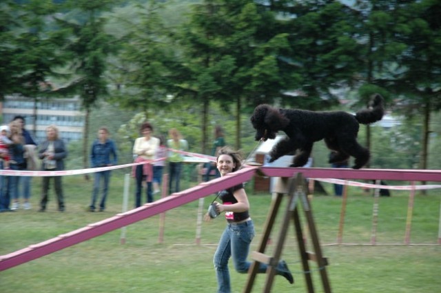 KD Zagorje - družinski piknik 16.5.2008  - foto