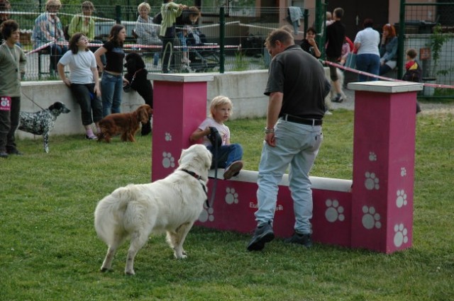 KD Zagorje - družinski piknik 16.5.2008  - foto