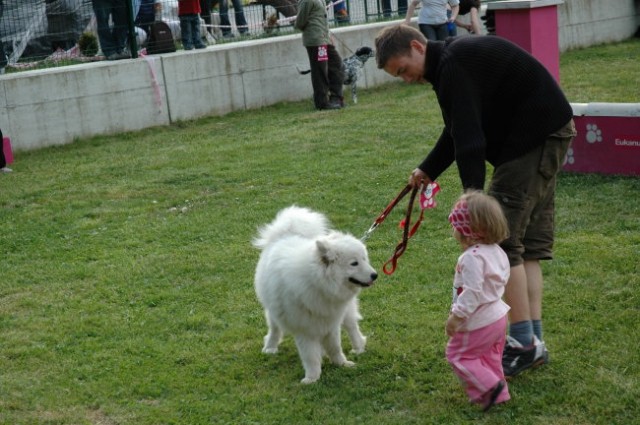 KD Zagorje - družinski piknik 16.5.2008  - foto