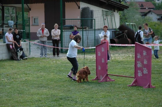 KD Zagorje - družinski piknik 16.5.2008  - foto