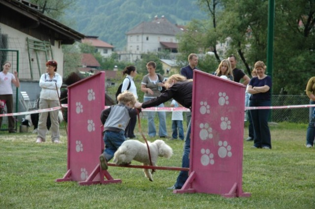 KD Zagorje - družinski piknik 16.5.2008  - foto