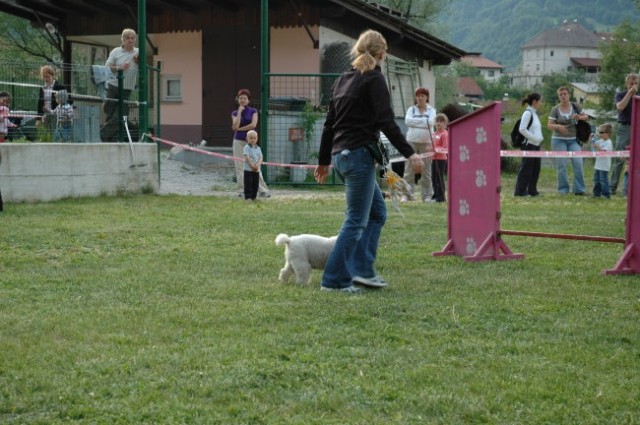 KD Zagorje - družinski piknik 16.5.2008  - foto