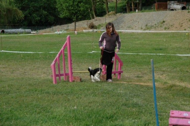 KD Zagorje - družinski piknik 16.5.2008  - foto