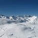 Vogel