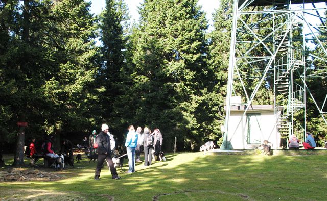 Rogla 14 11 2011 - foto