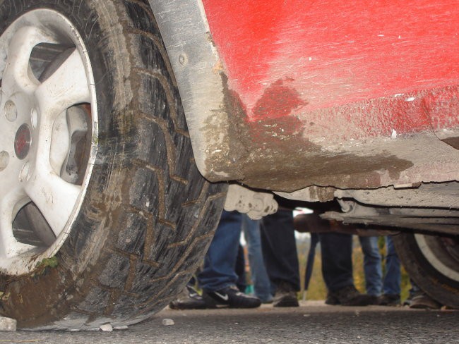 Rally postonjska jama - foto povečava