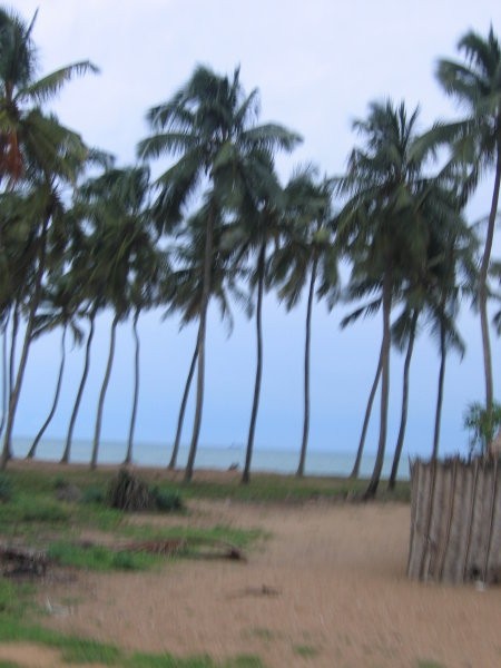 Benin, Burkina Faso 2008 - foto povečava