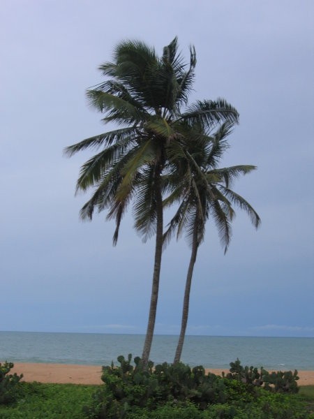 Benin, Burkina Faso 2008 - foto povečava