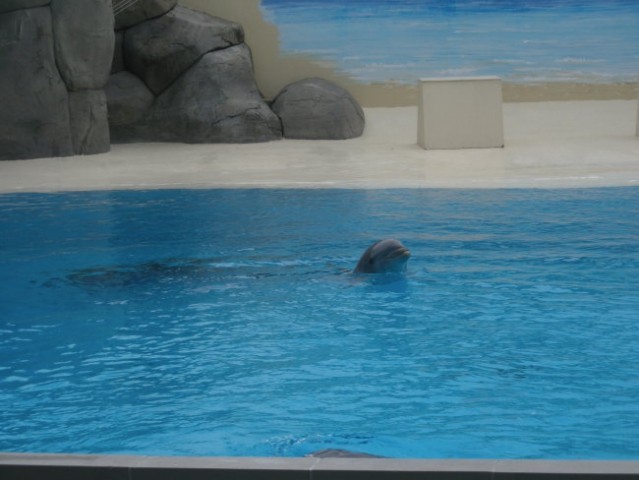 Gardaland - foto